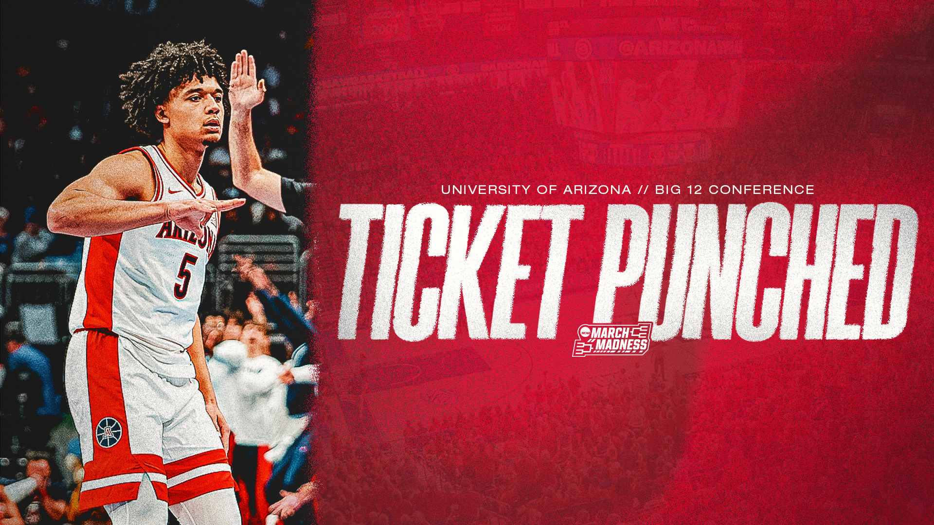 Ticket Punched: Previewing the Arizona Wildcats for the 2026 NCAA Tournament Post feature image